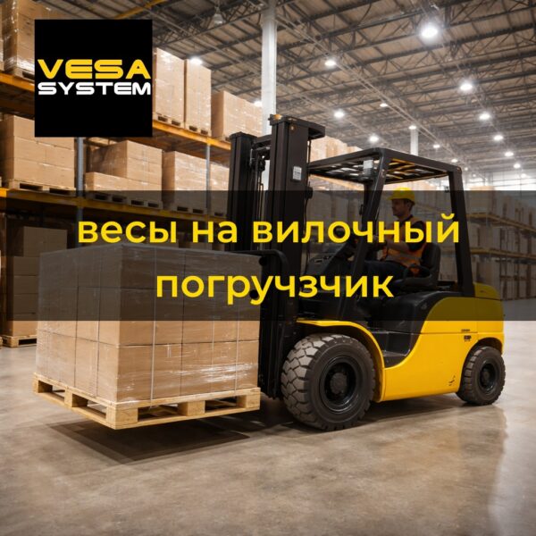 Без названия156_20260814174649